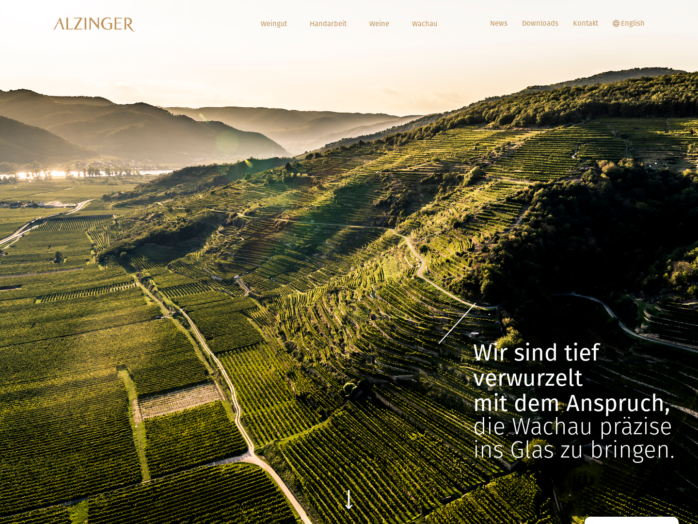 Alzinger, Weingut