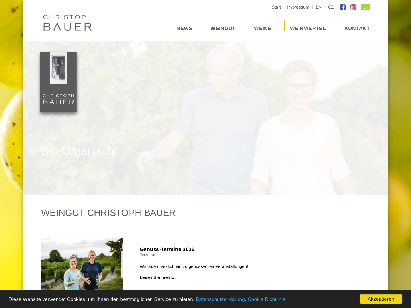 Bauer Hans, Weingut