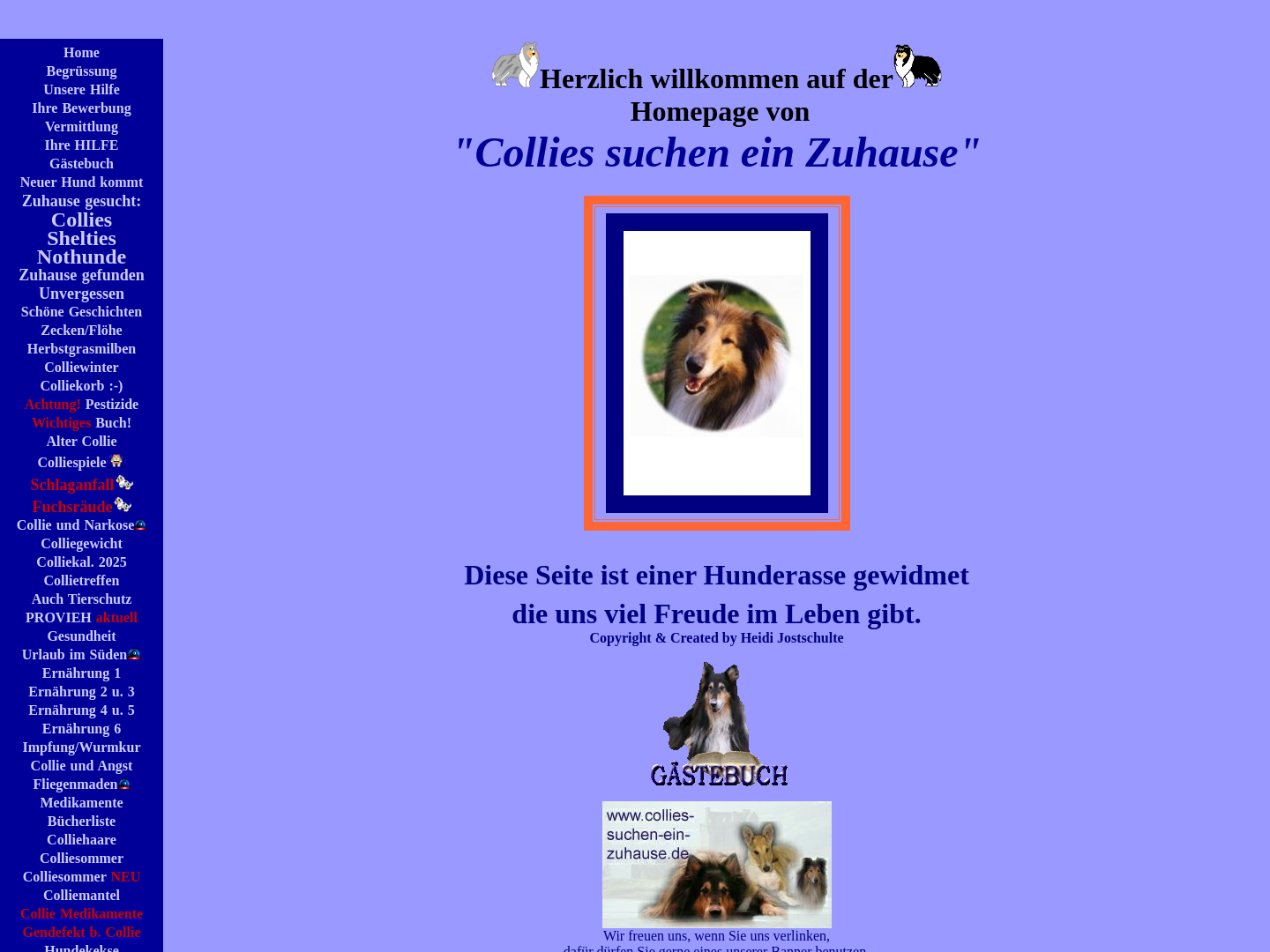 Collies suchen ein Zuhause