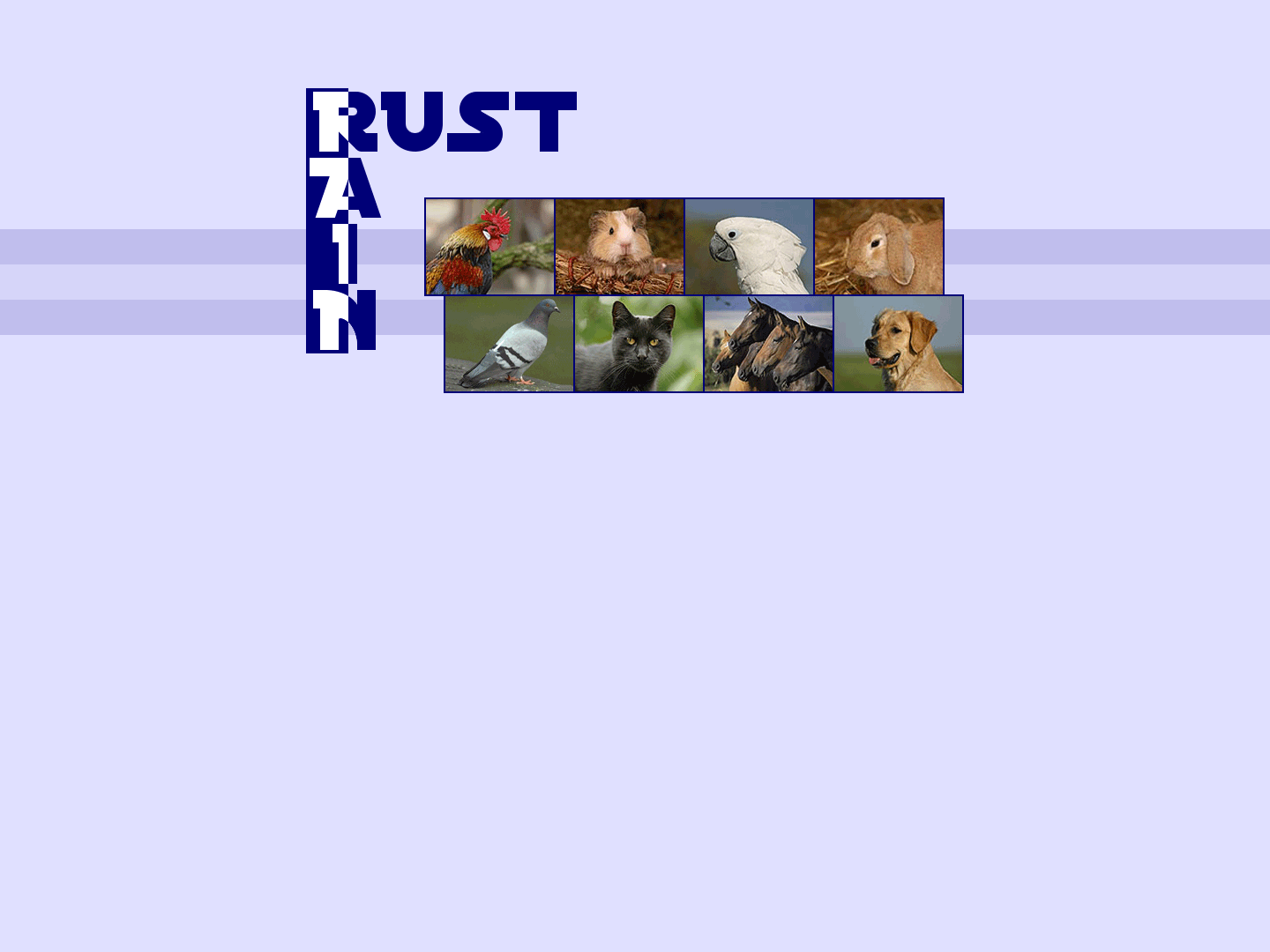 Rust Rain, Karin Rust - Wicki