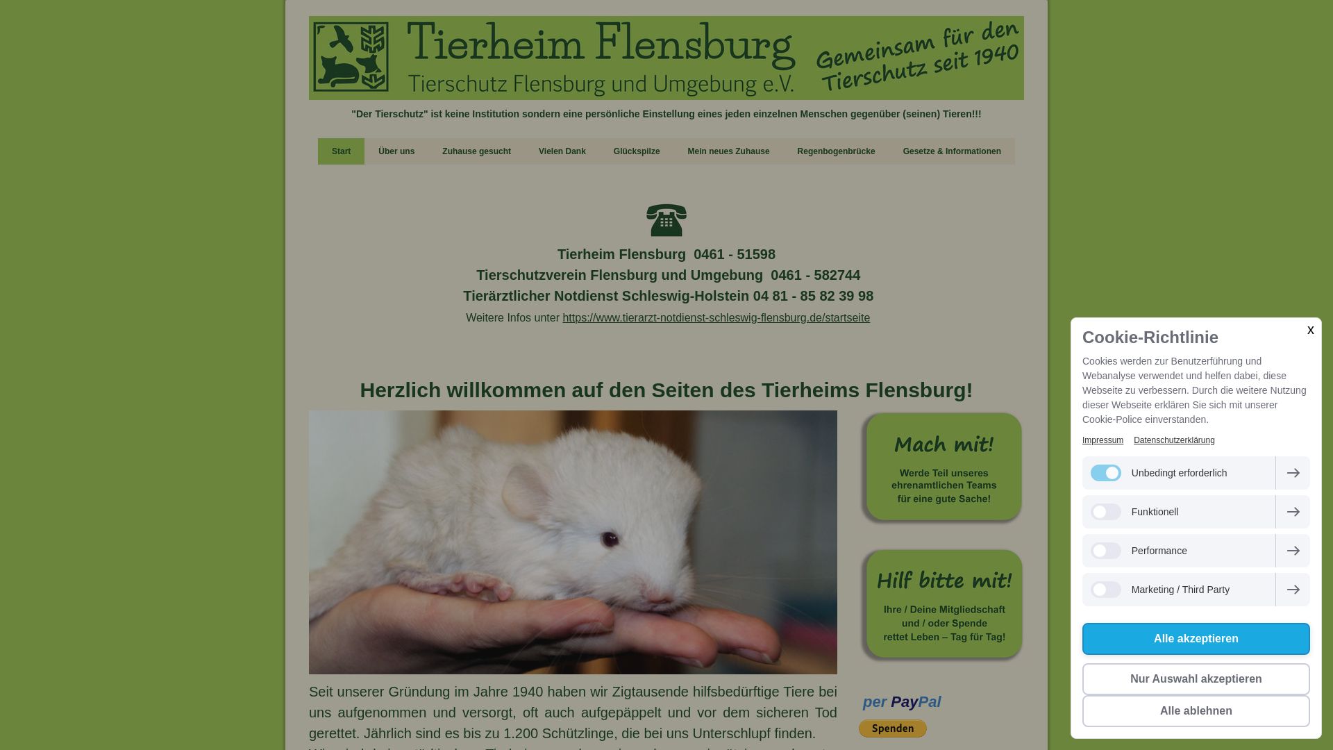 Tierheim Flensburg - Tierschutz Flensburg und Umgebung e.V.