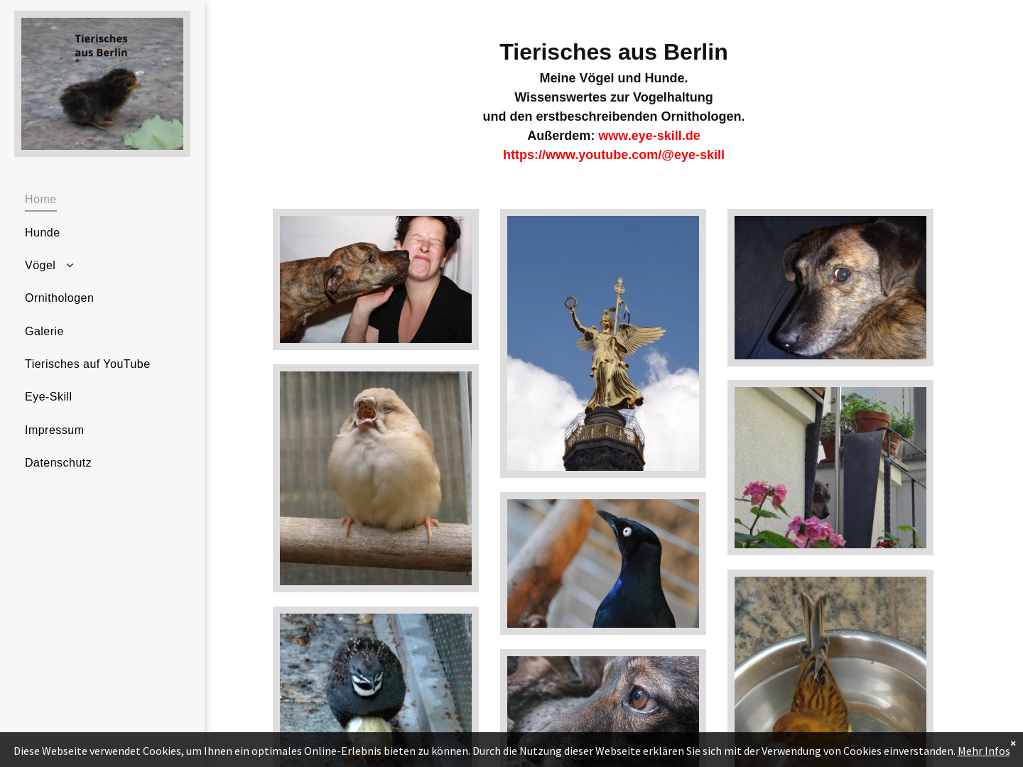 Tierisches aus Berlin