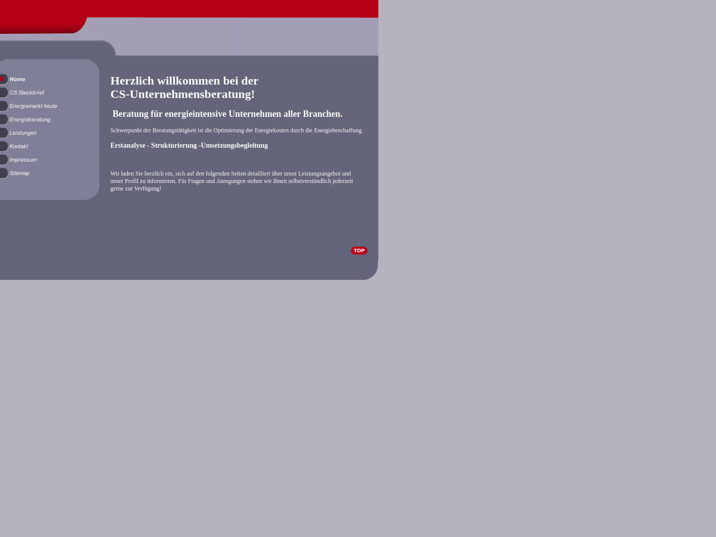 CS-Unternehmensberatung