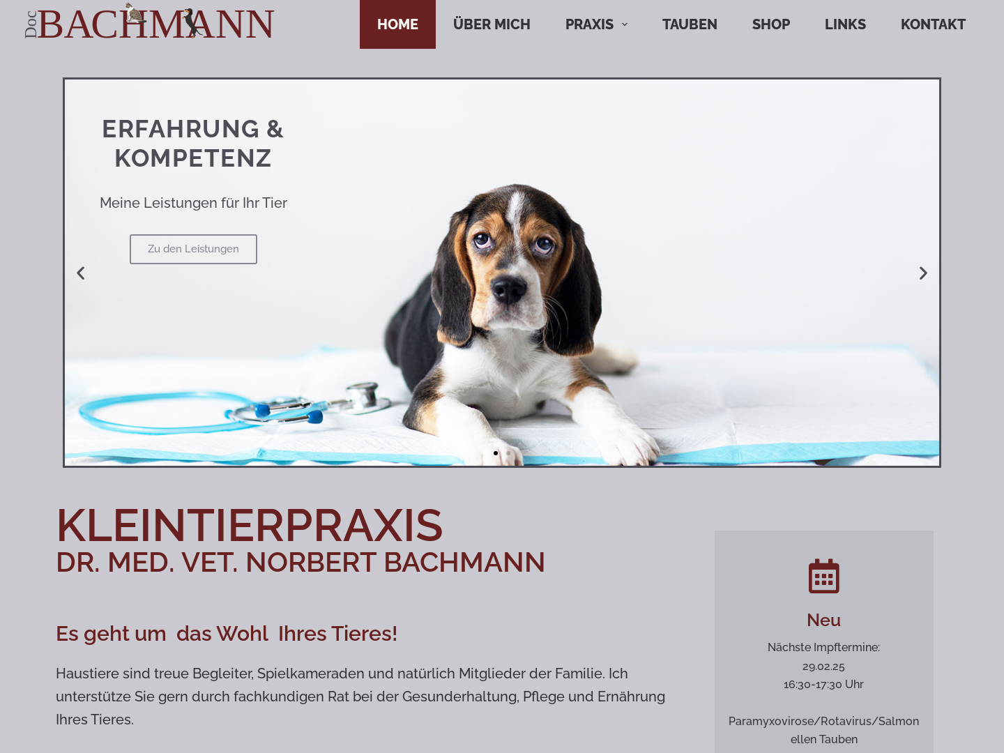 Dr. Norbert Bachmann