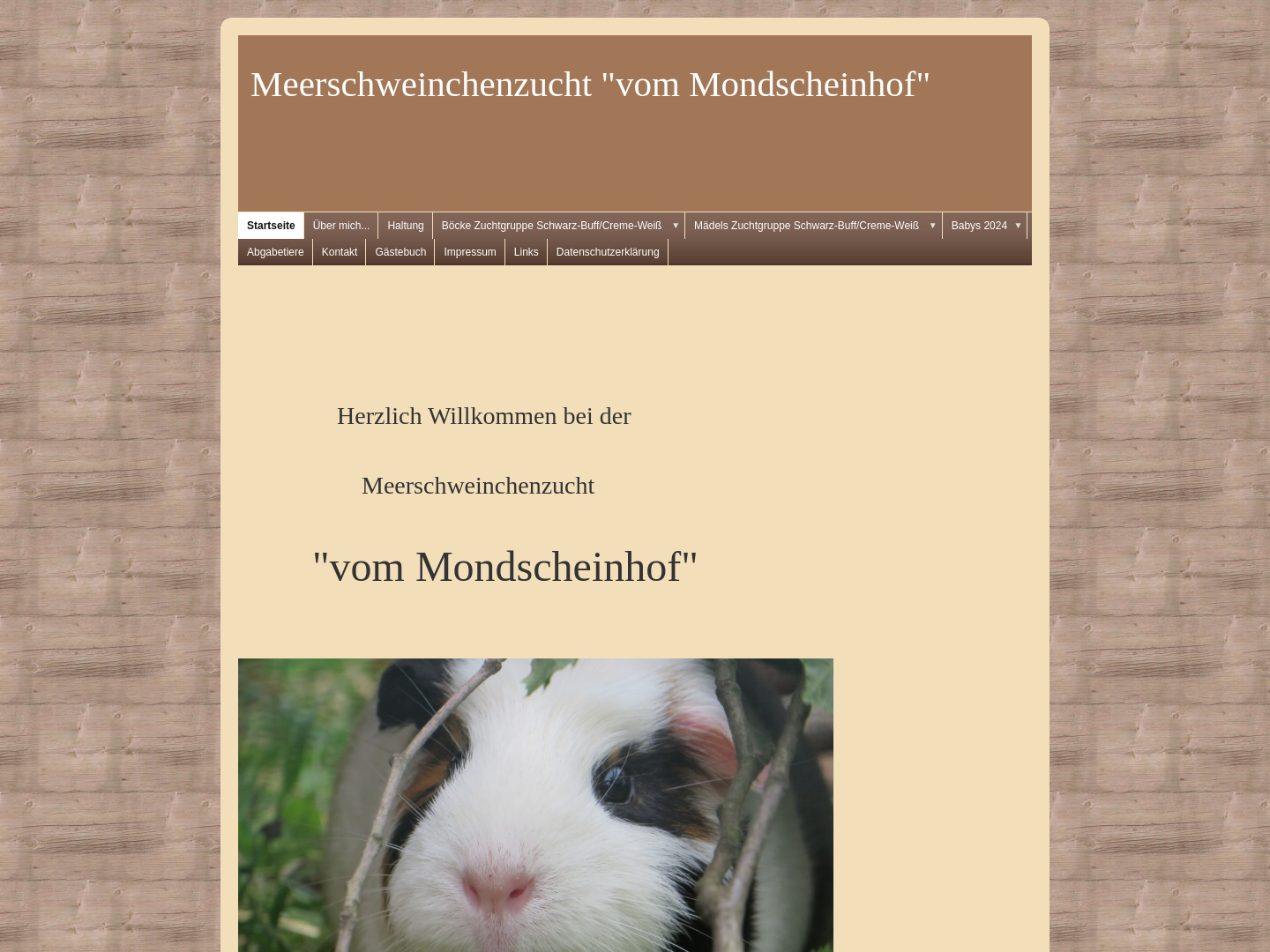 Meerschweinchenzucht  Vom Mondscheinhof