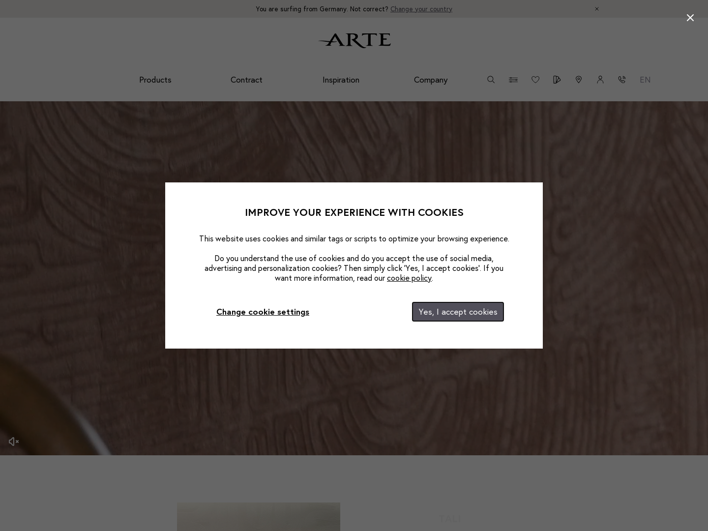 Arte International