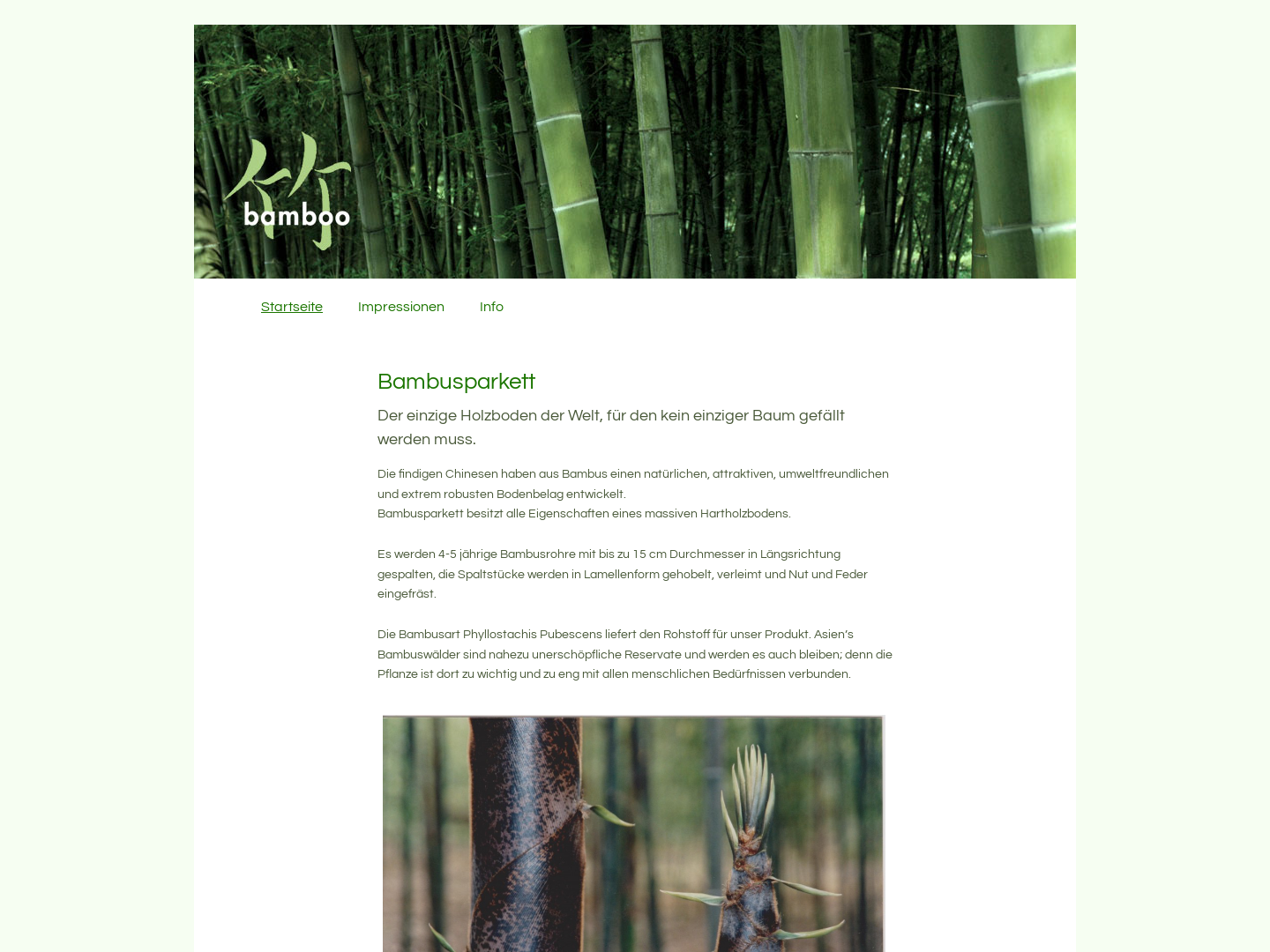 Bamboo Import GmbH