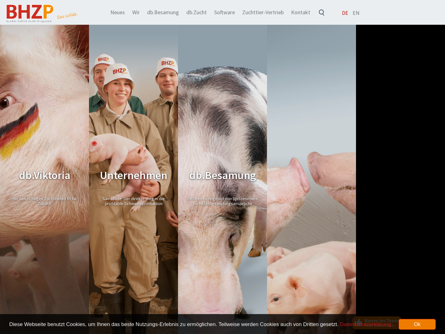 Züchtungszentrale Deutsches Hybridschwein GmbH