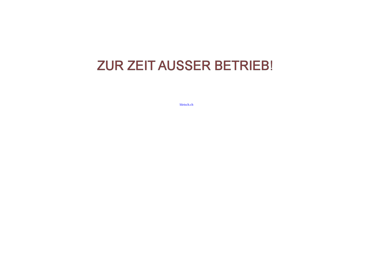 Die bleisch.ch Homepage