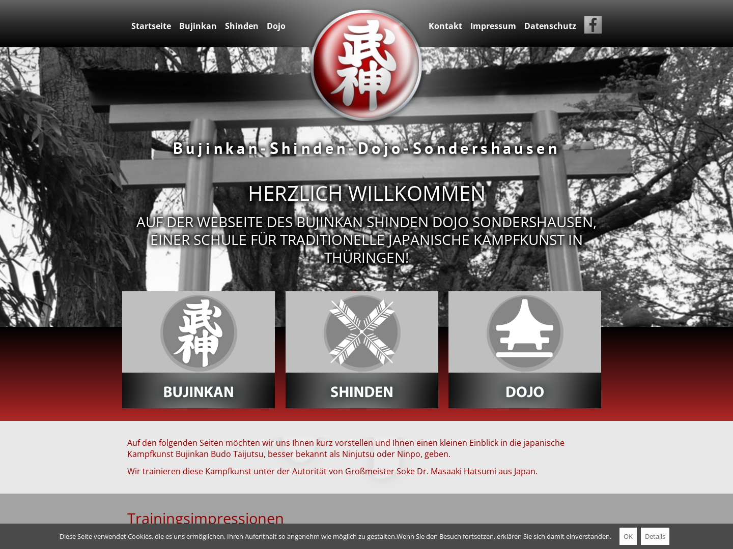 Bujinkan Shinden Dojo Sondershausen