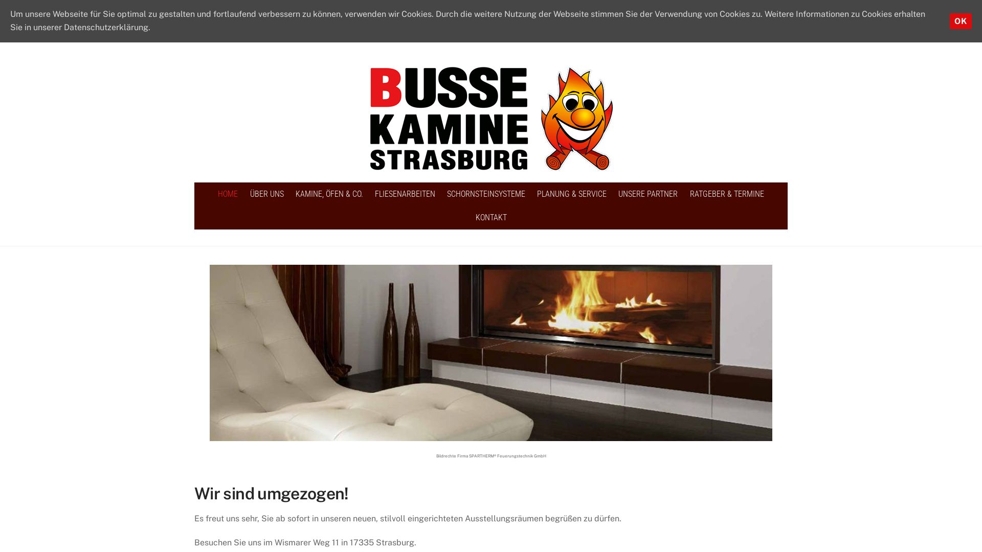Busse Kamine
