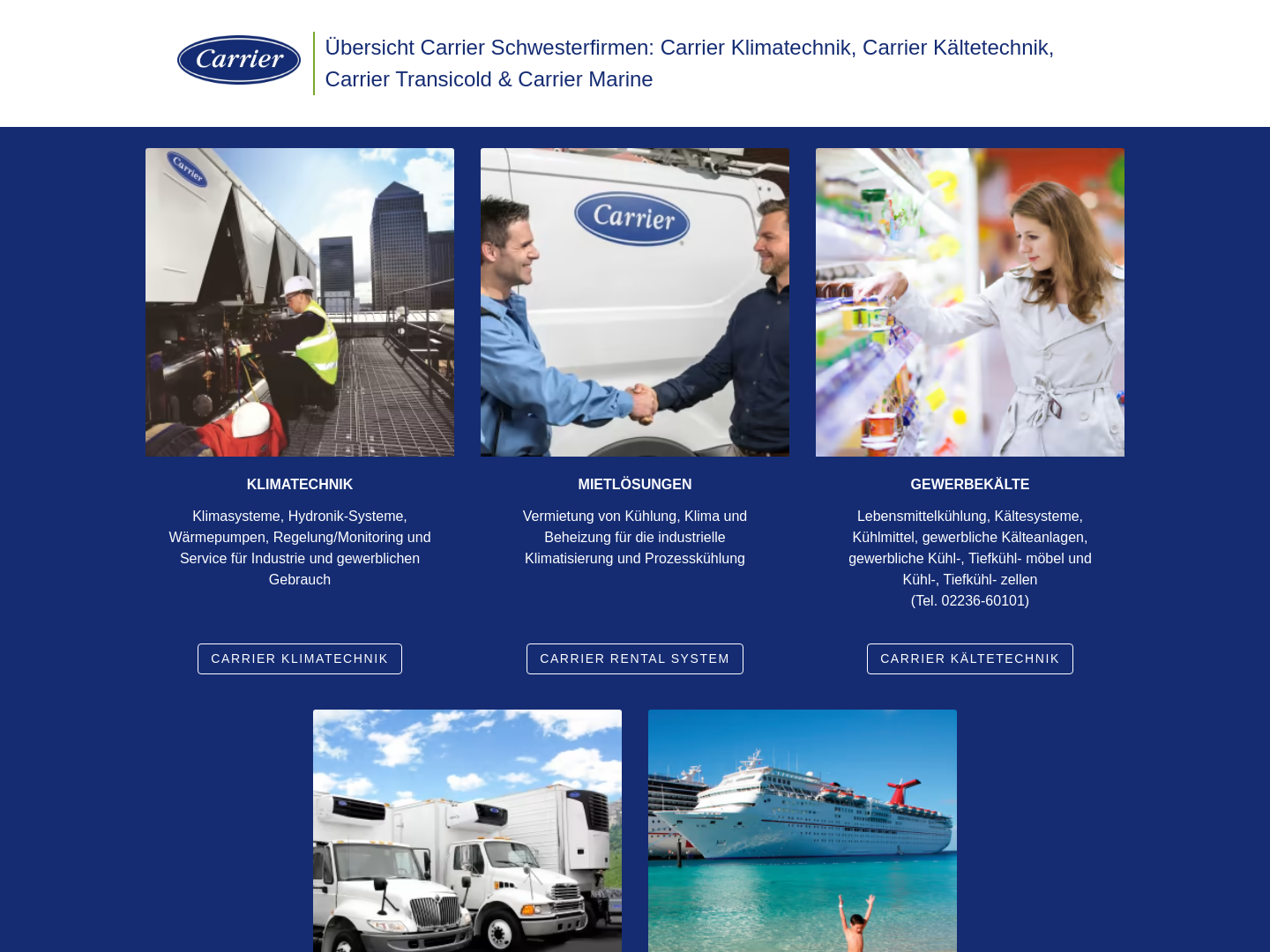 Carrier GmbH & Co.KG