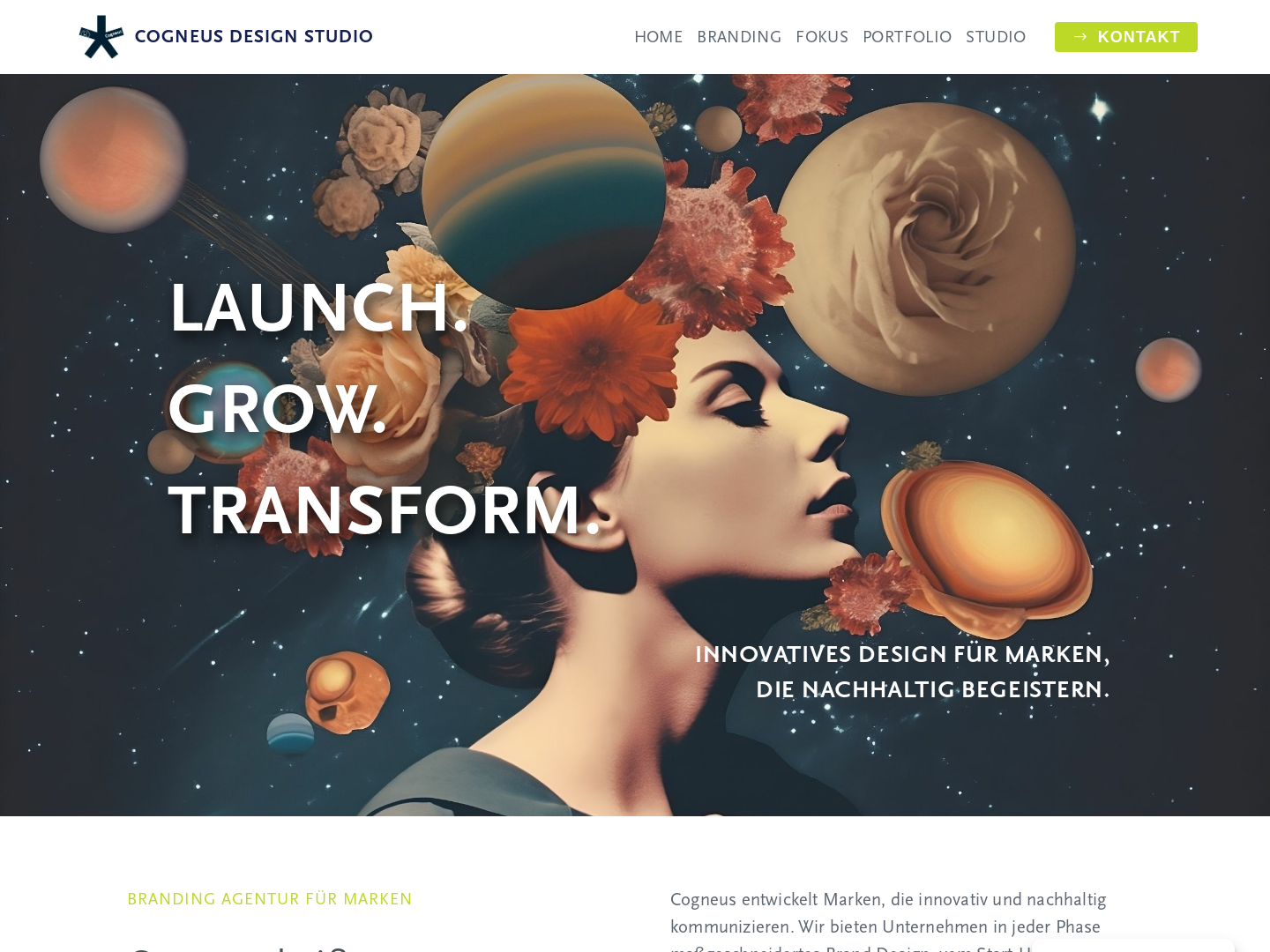 Cogneus Interface Design
