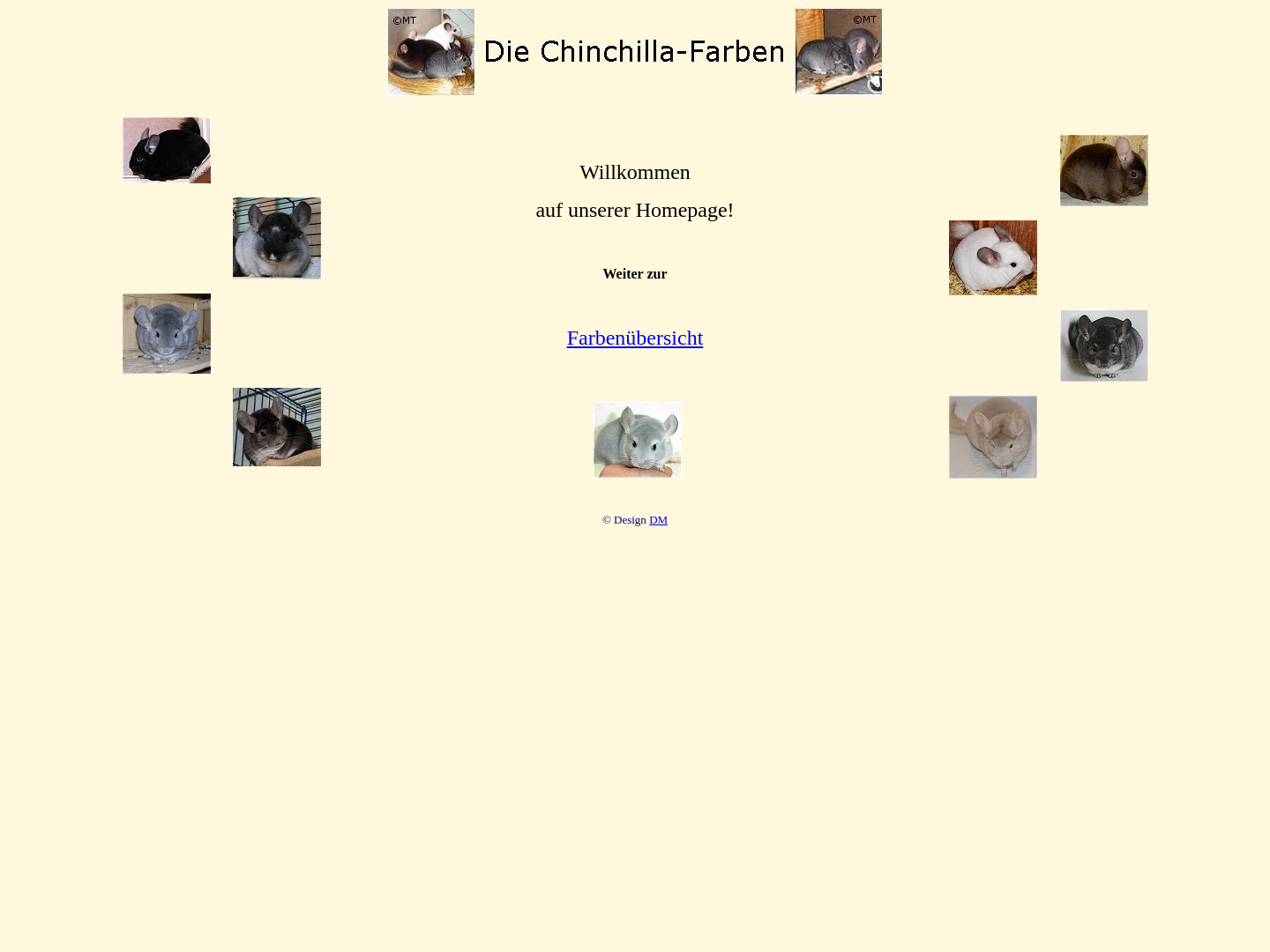Chinchilla-Farben