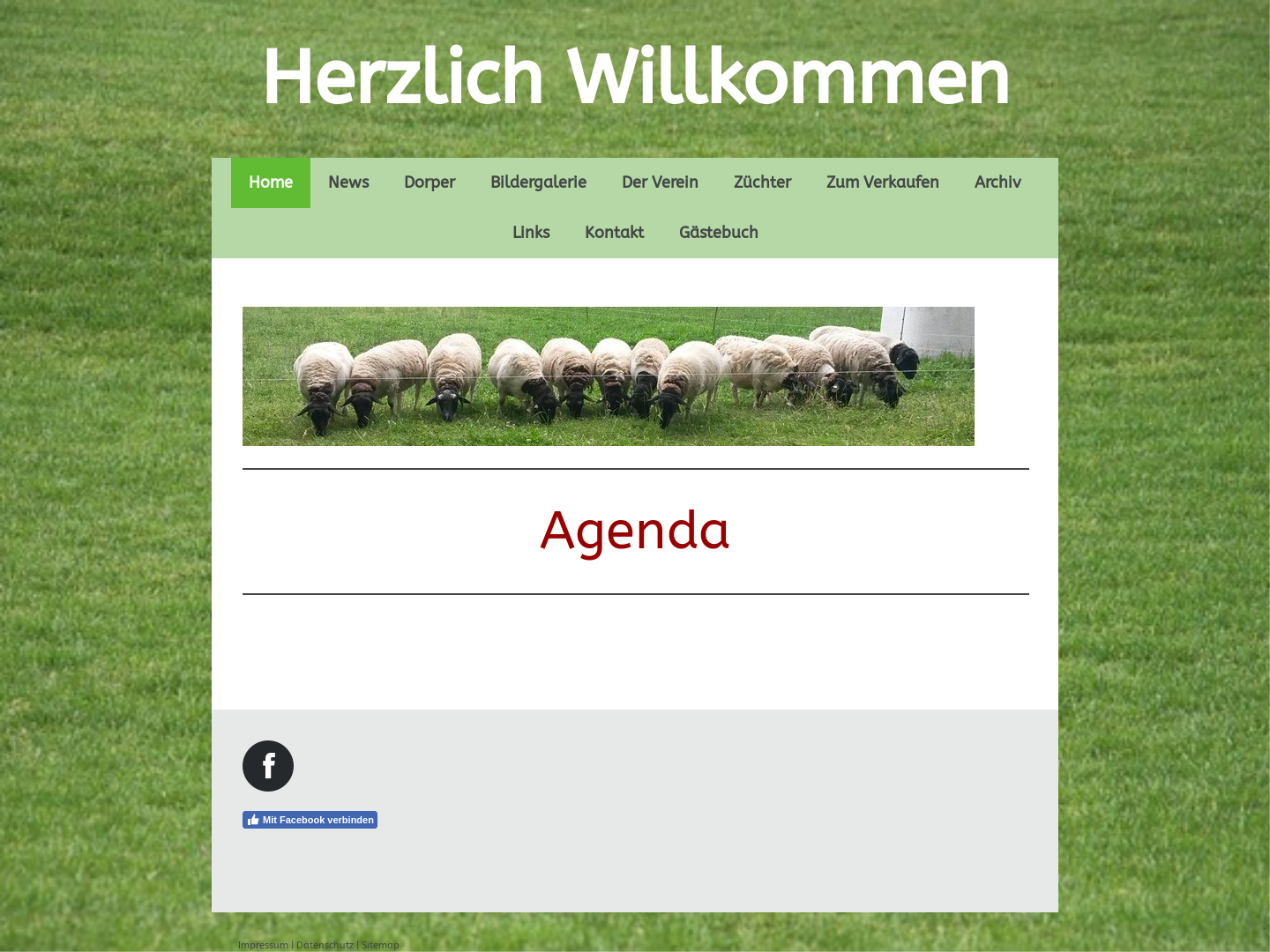 Verein Dorper Nordwestschweiz