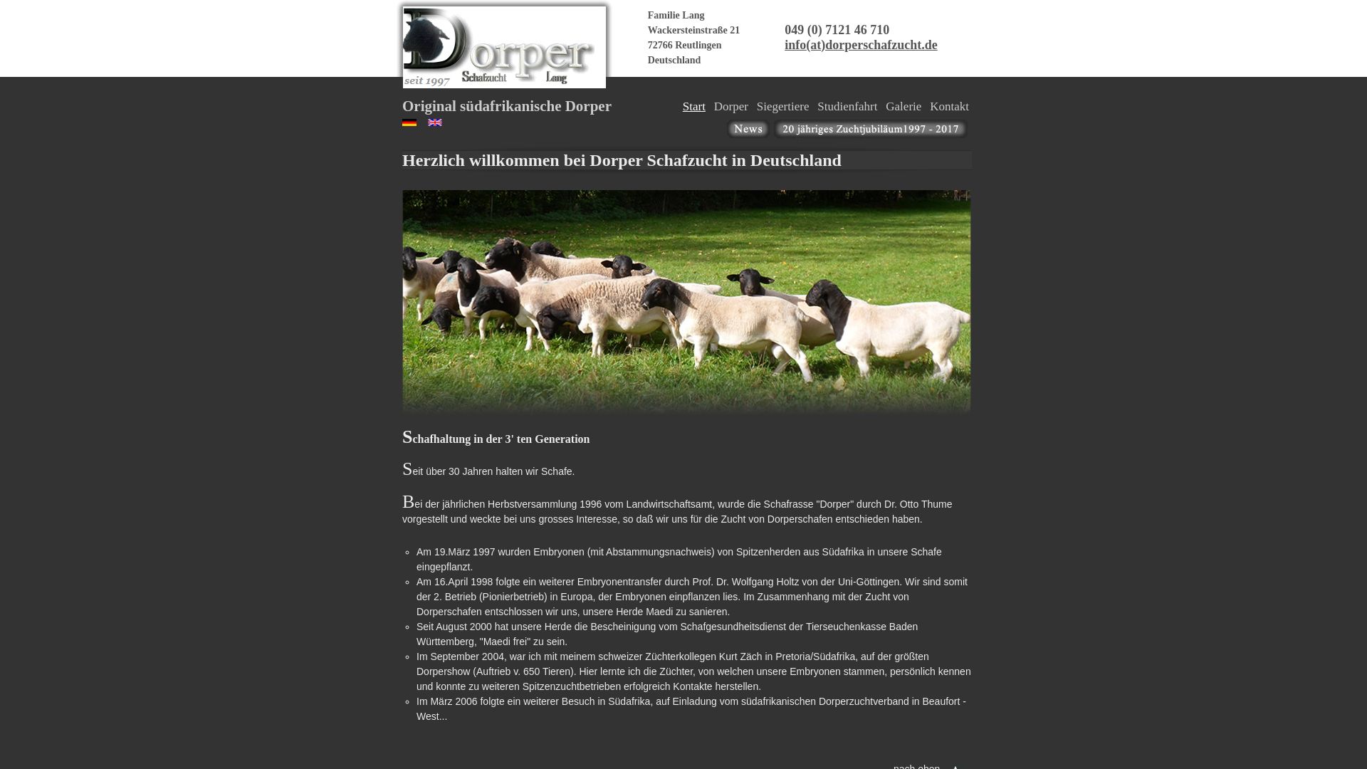 Dorper Schafzucht - Fam. Eberhard Lang