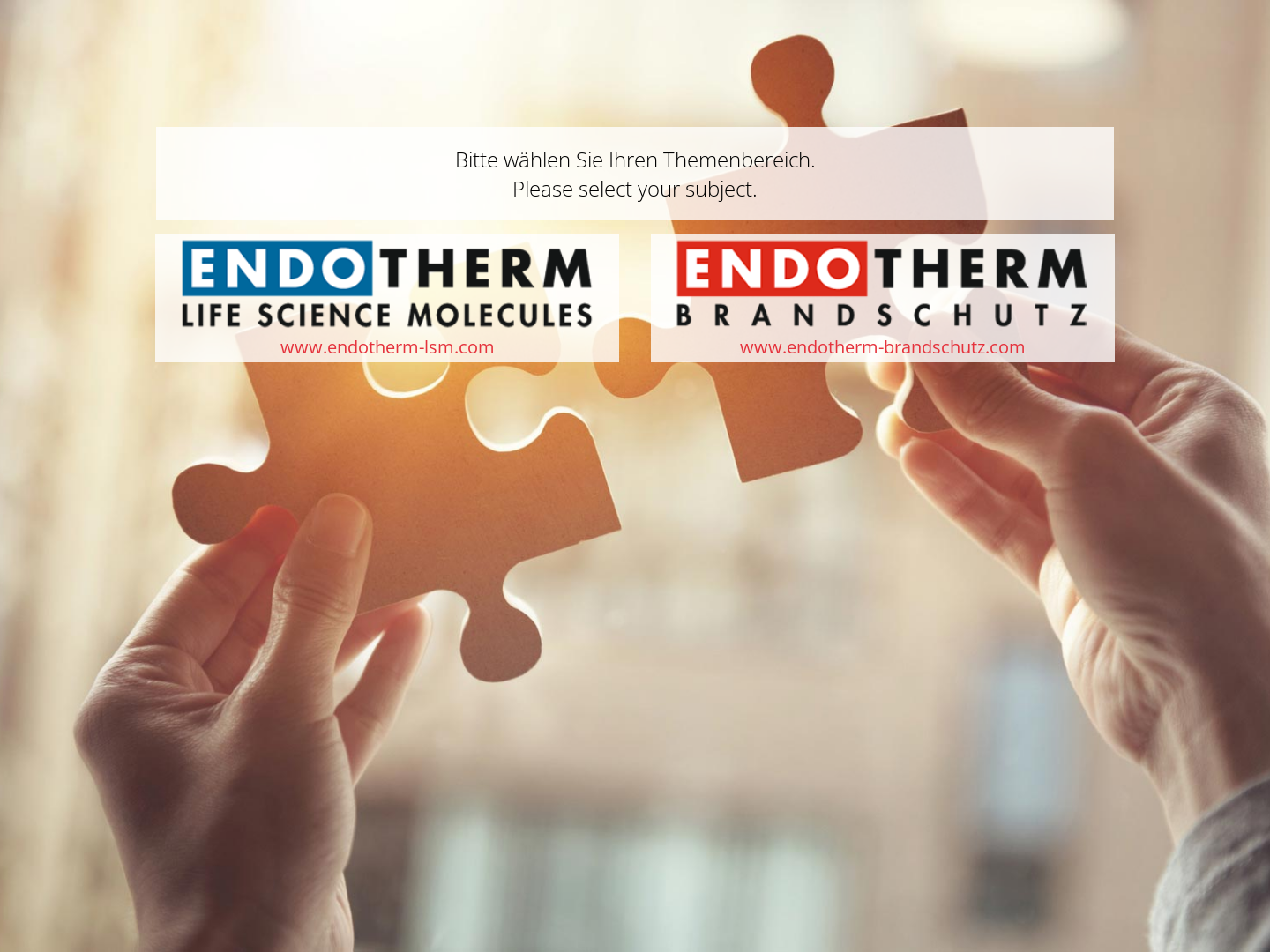 Endotherm GmbH