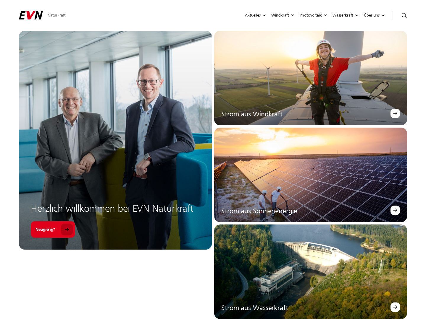 EVN Naturkraft Erzeugungs- und Verteilungs GmbH & Co. KG