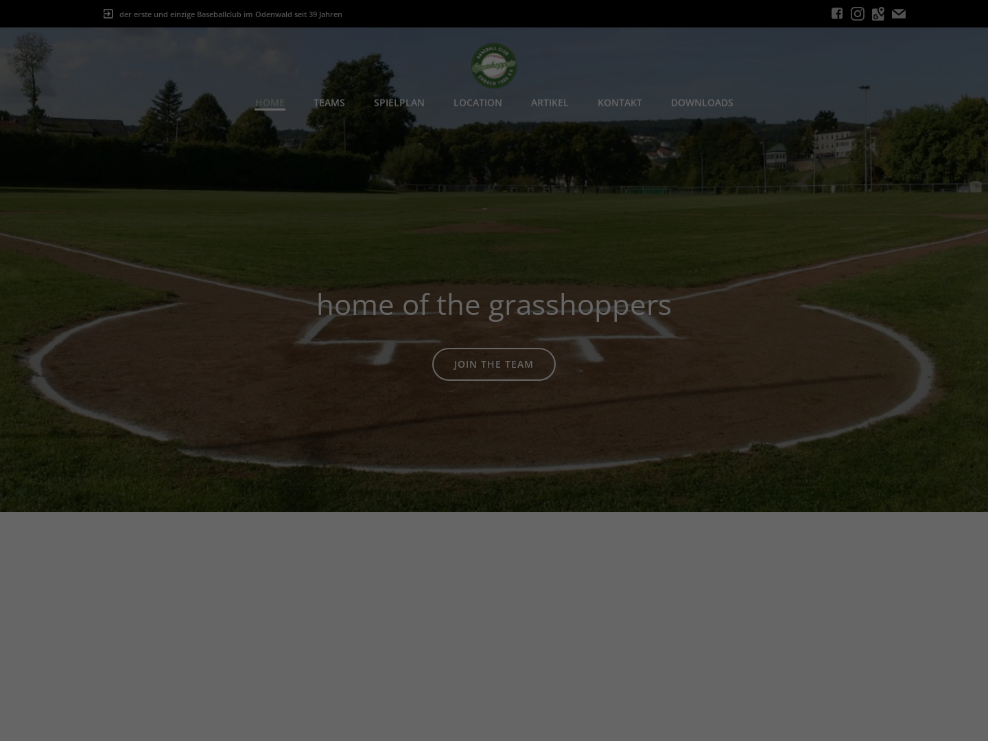 Erbach Grasshoppers