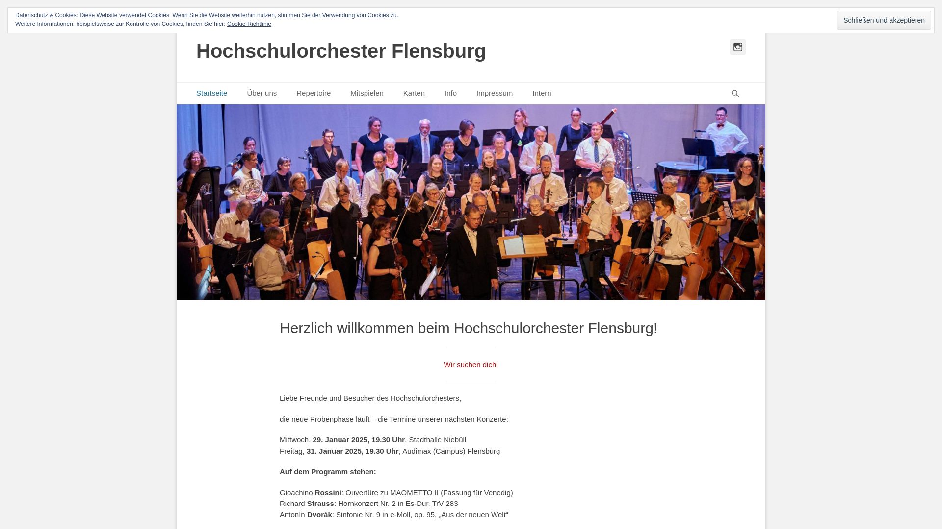 Hochschulorchester Flensburg e.V.