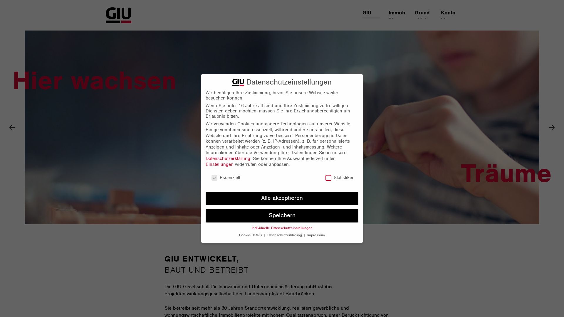 IT Informationstechnologie Park Saarland Burbach