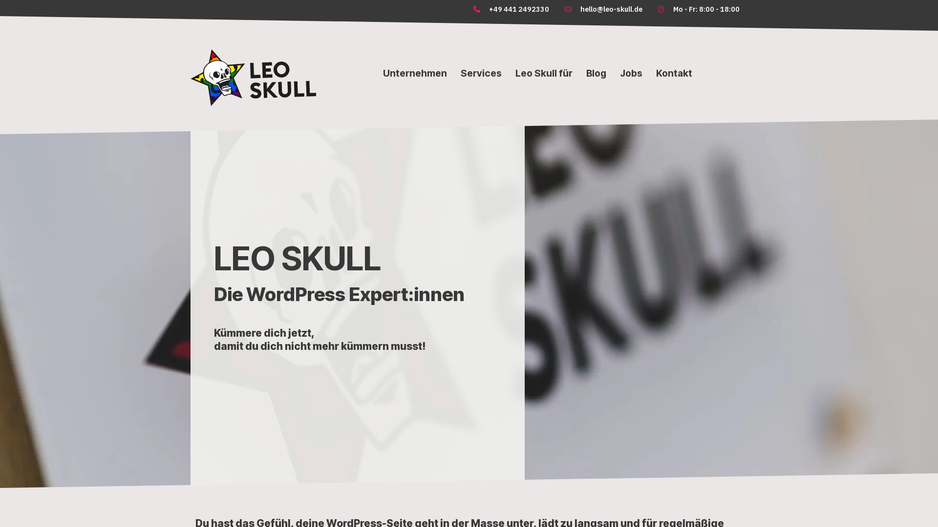 Leo Skull - IT, Media und Rock'n'Roll