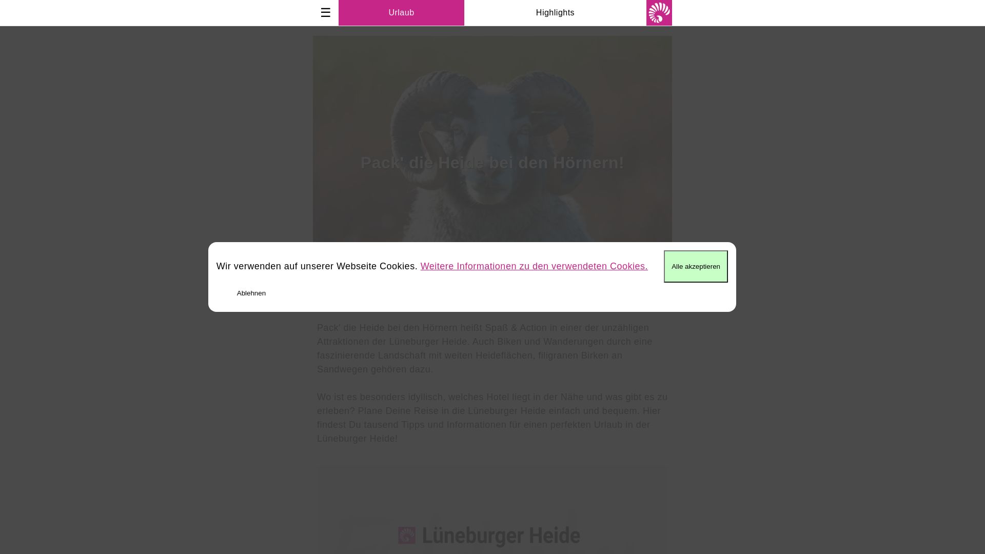 Lüneburger Heide Attraktionen