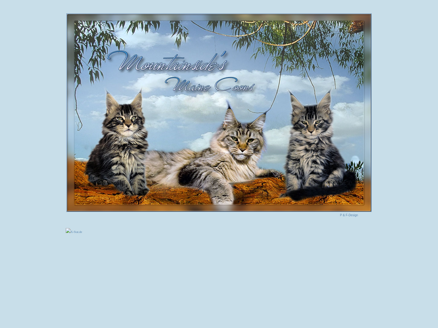 Mountainside's Maine Coon Cats