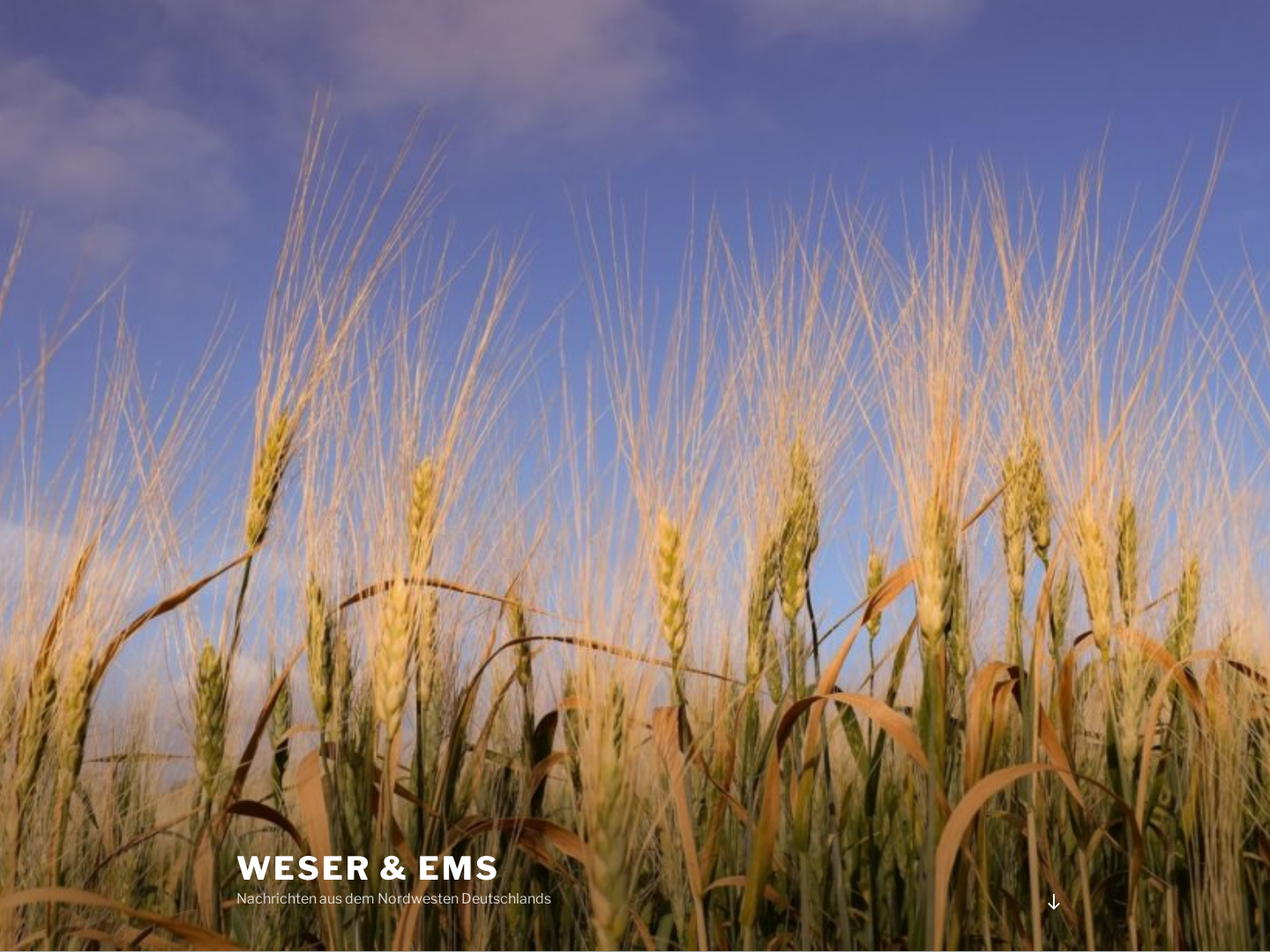 Maschinenringe in Weser-Ems