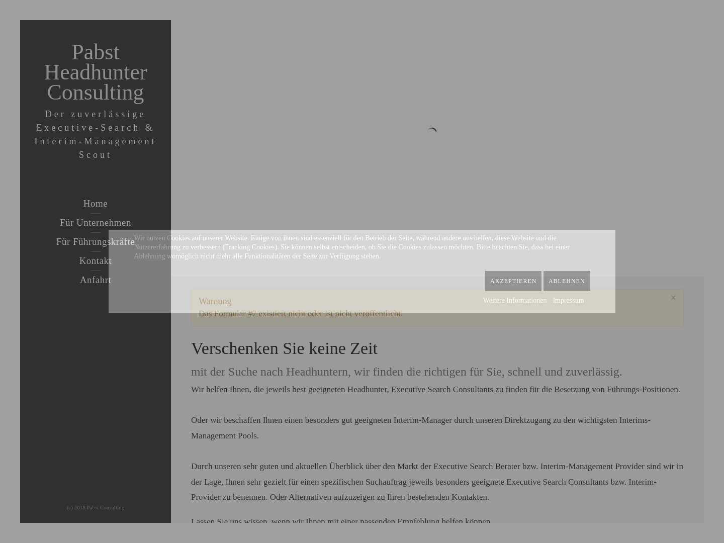 Executive Consulting - Ernst Pabst