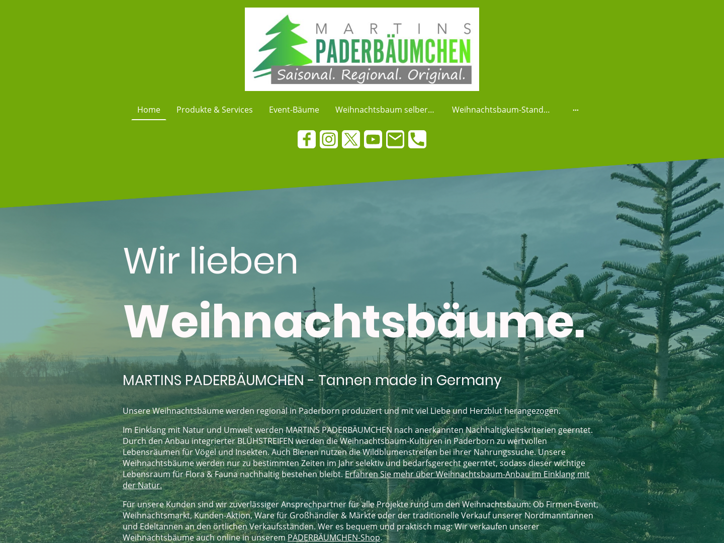 Martins Paderbäumchen