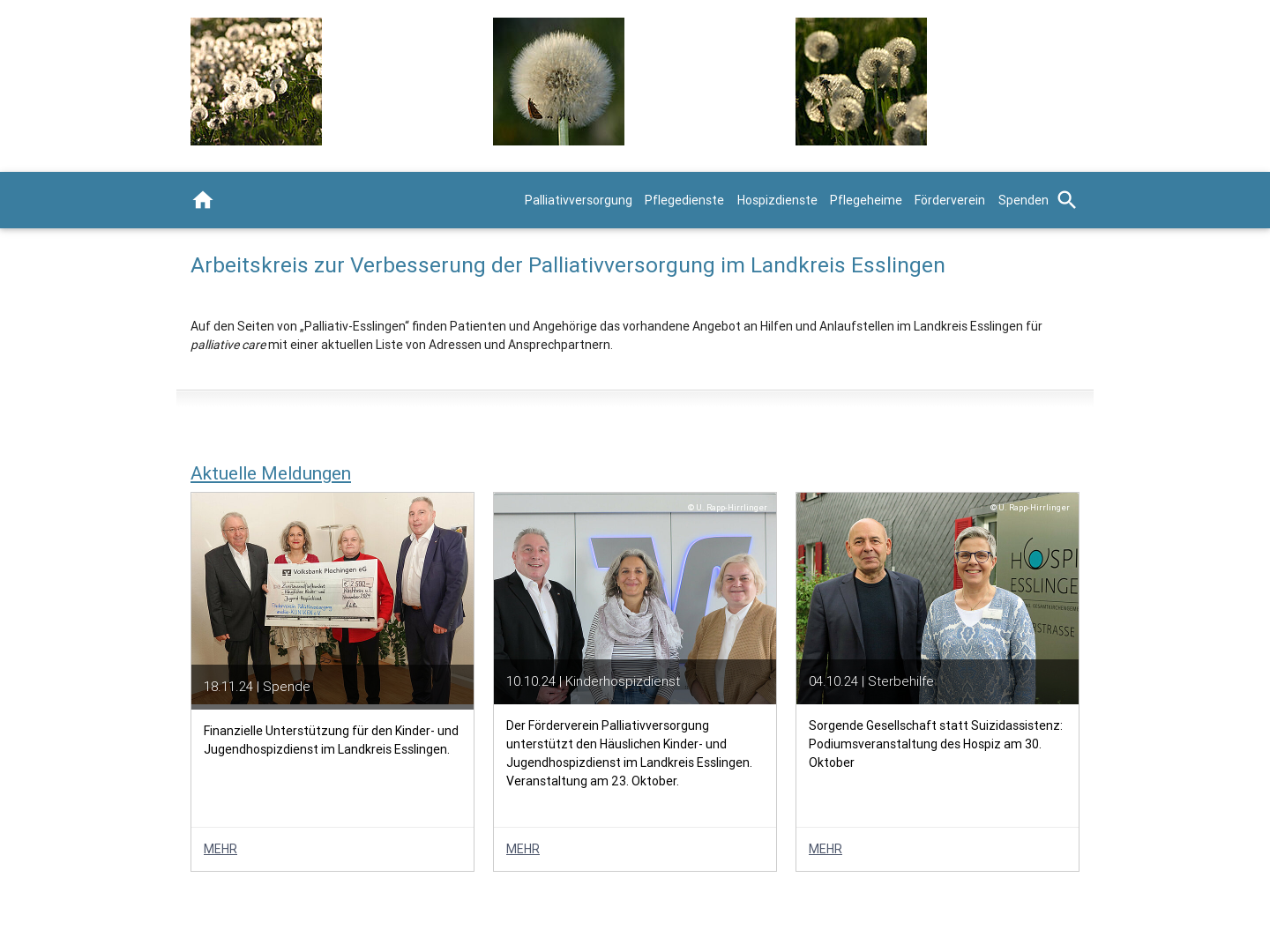 Palliativ Esslingen