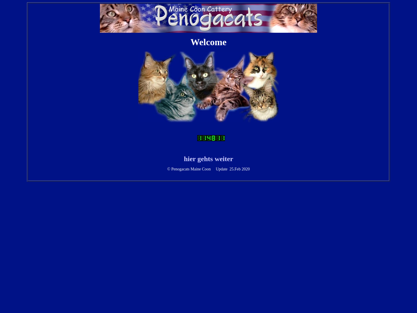 Penogacats