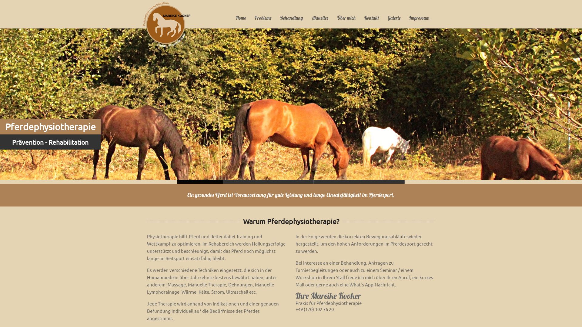 Pferdephysiotherapie Mareike Kooker