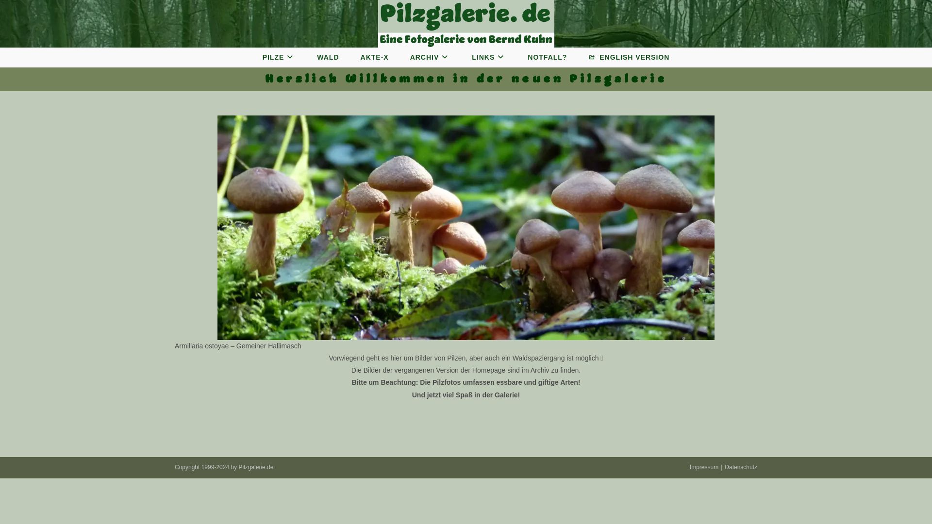 Pilzgalerie