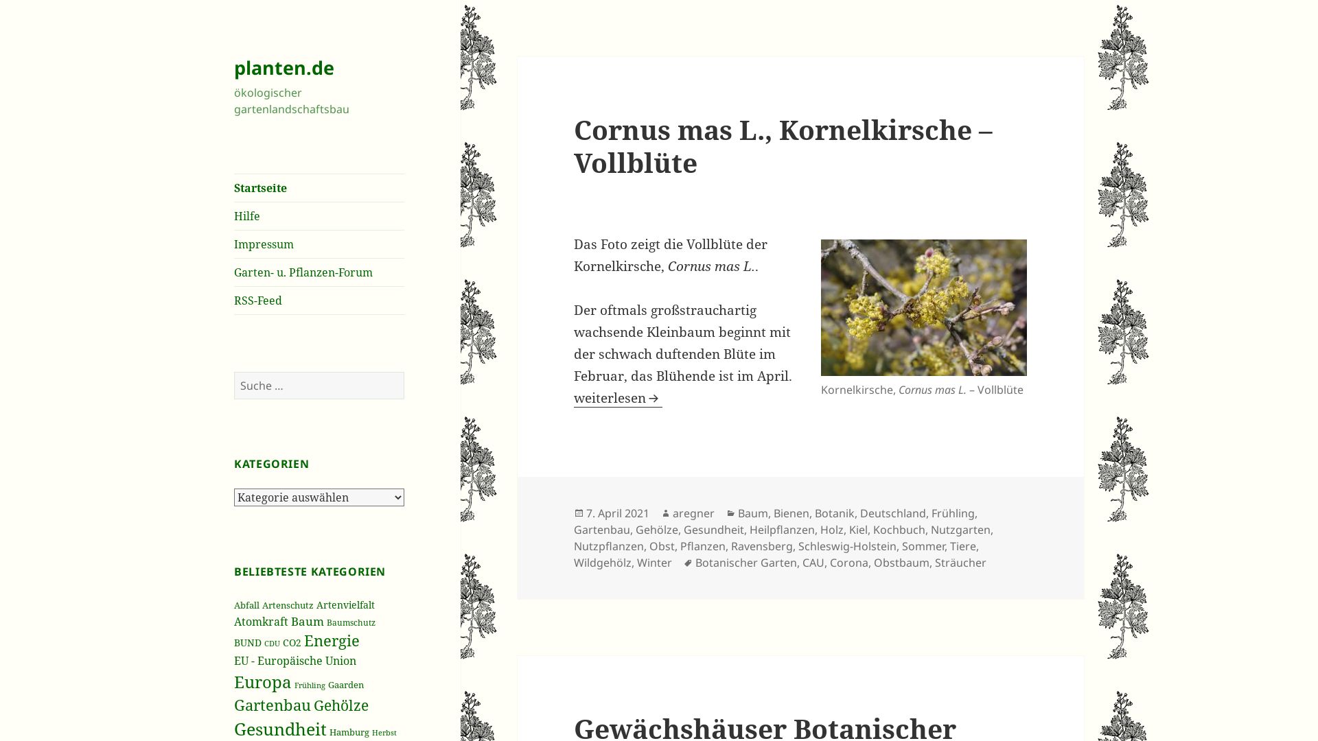Ökologischer Gartenlandschaftsbau Andreas Regner