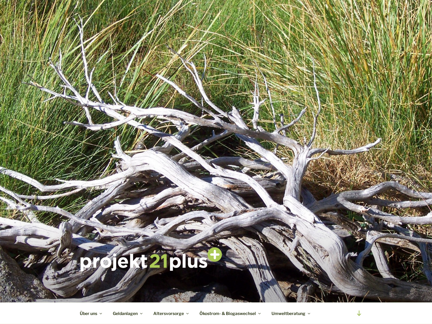 Agentur Projekt 21+ - Siegfried Grob