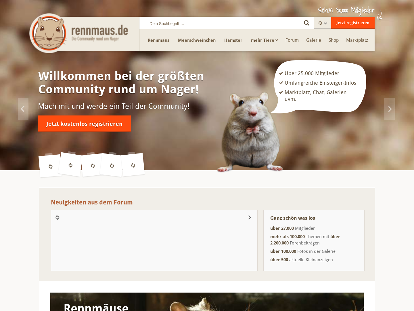 Rennmaus.de