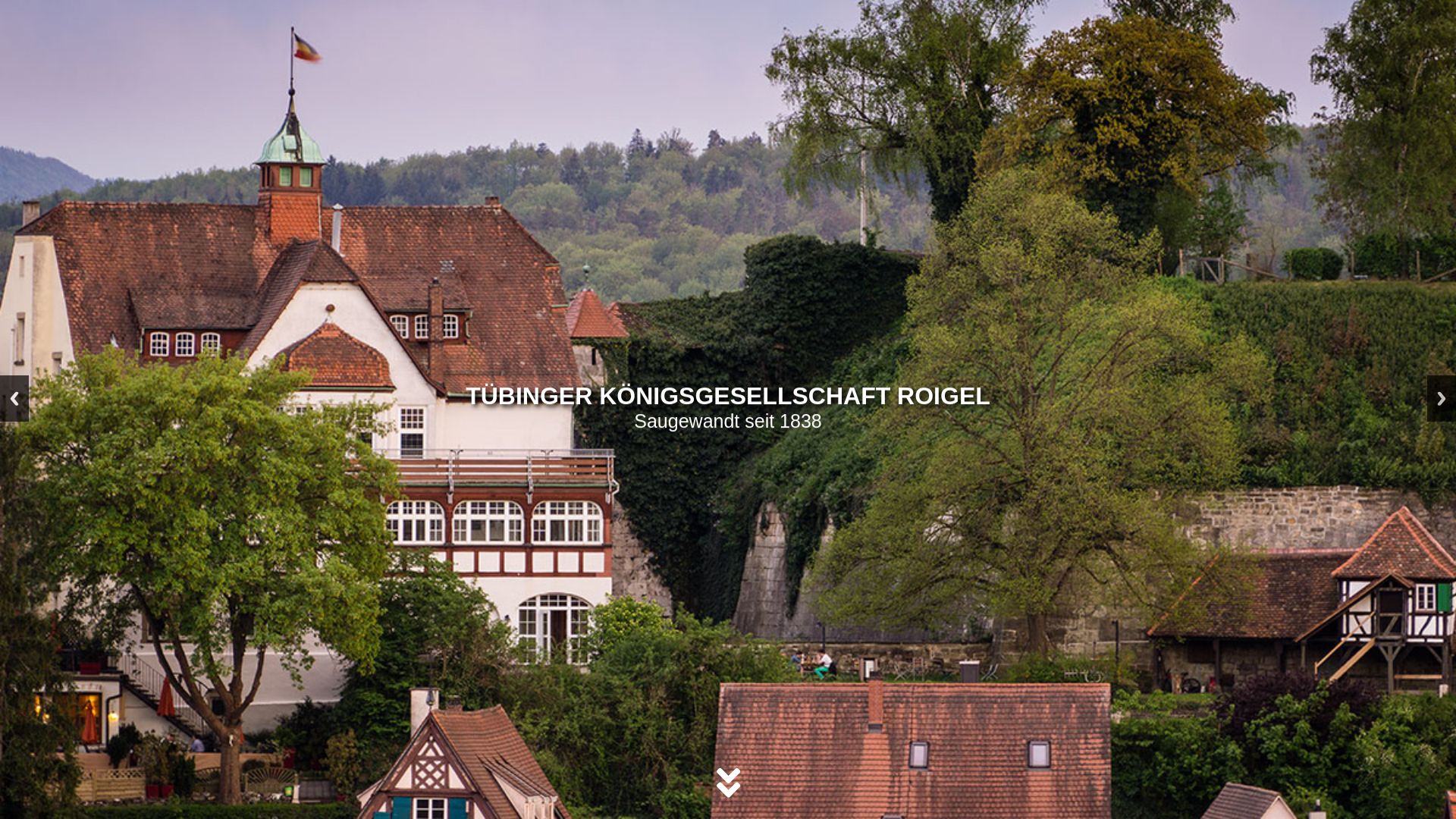 Tübinger Königsgesellschaft Roigel