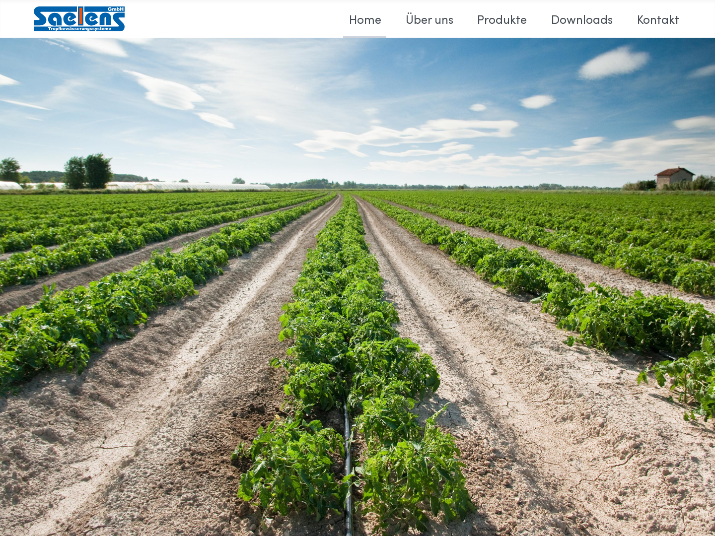 Saelens GmbH