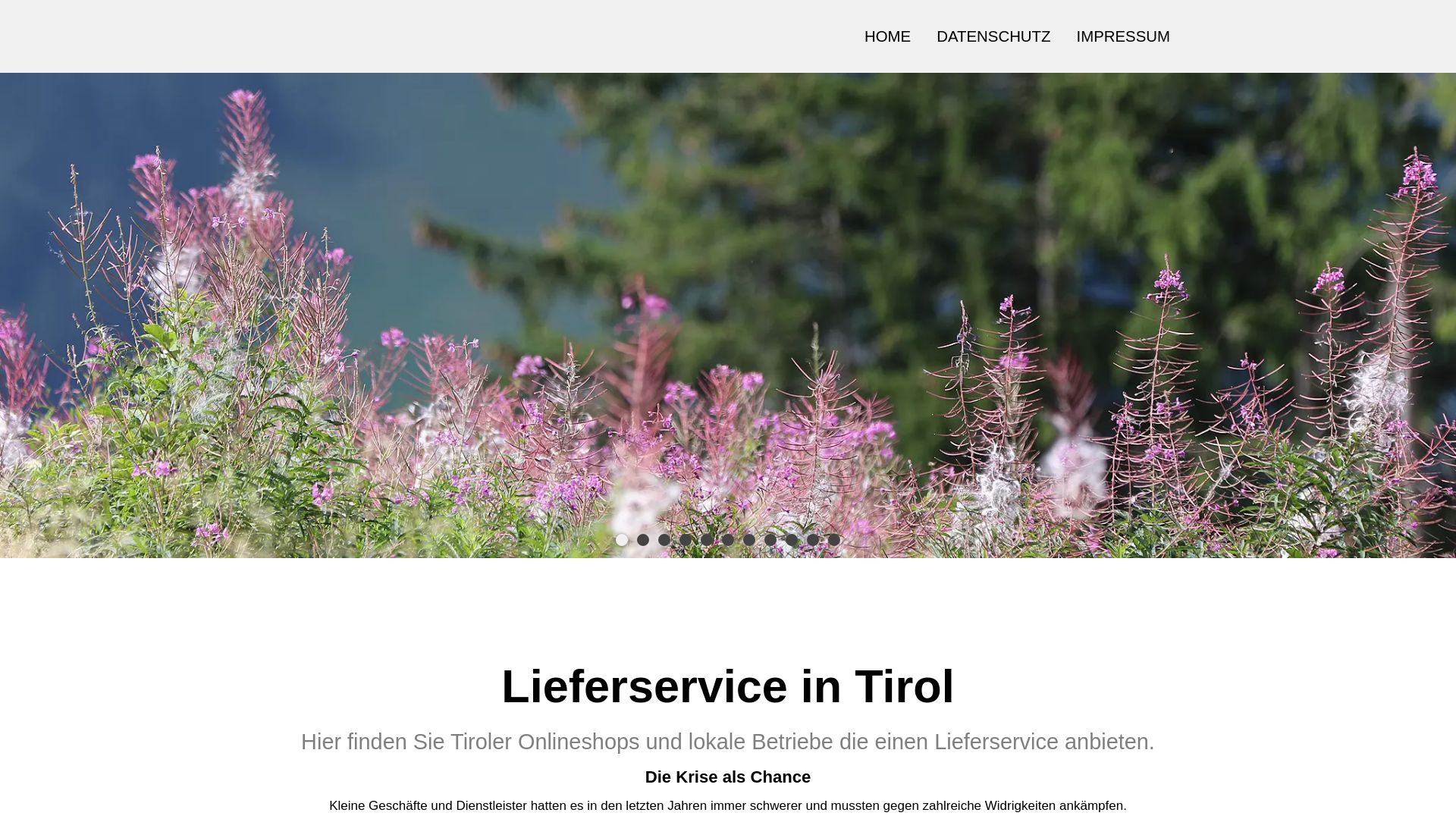 Tiroler Online-Auktion