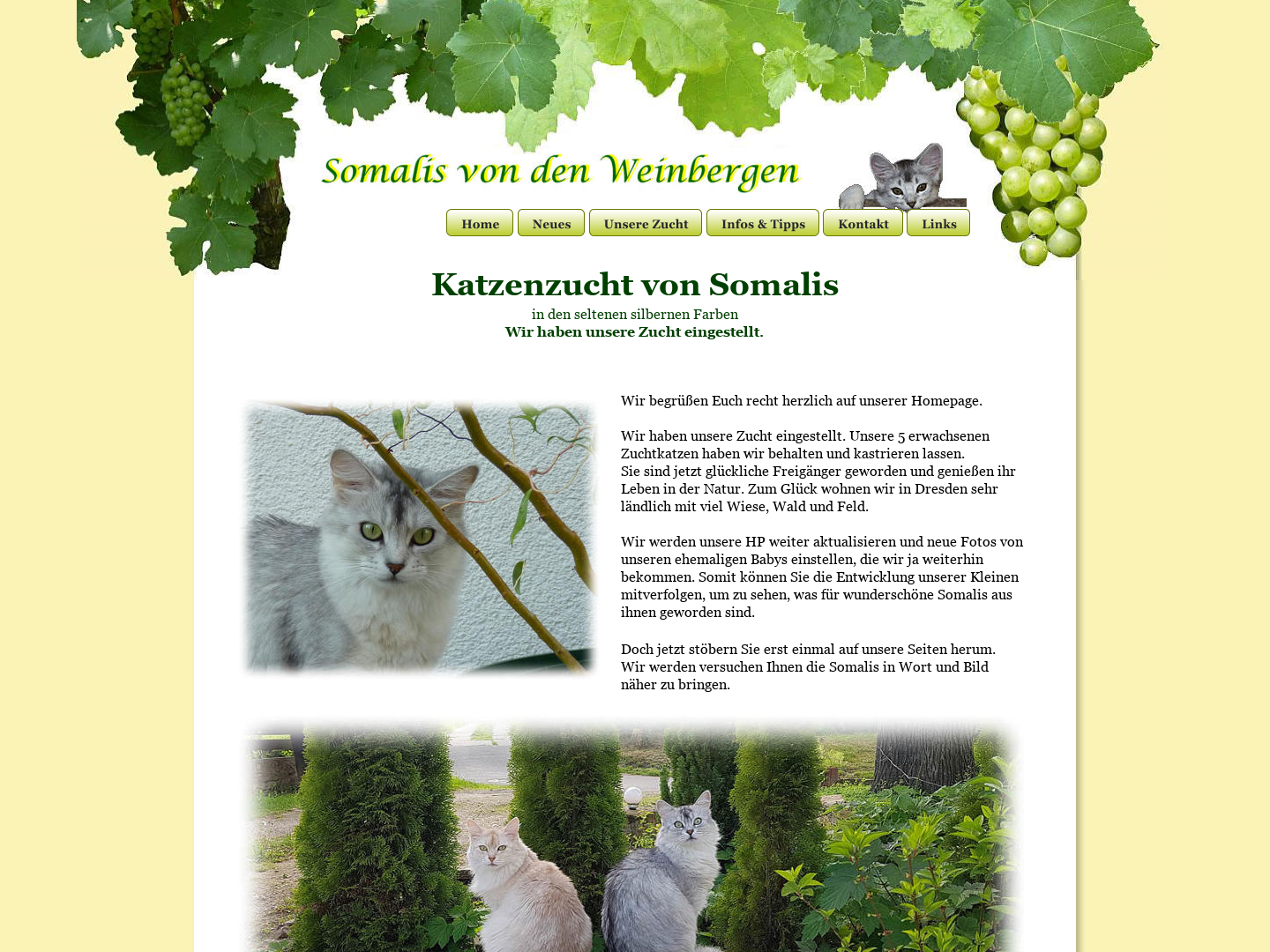 Von den Weinbergen