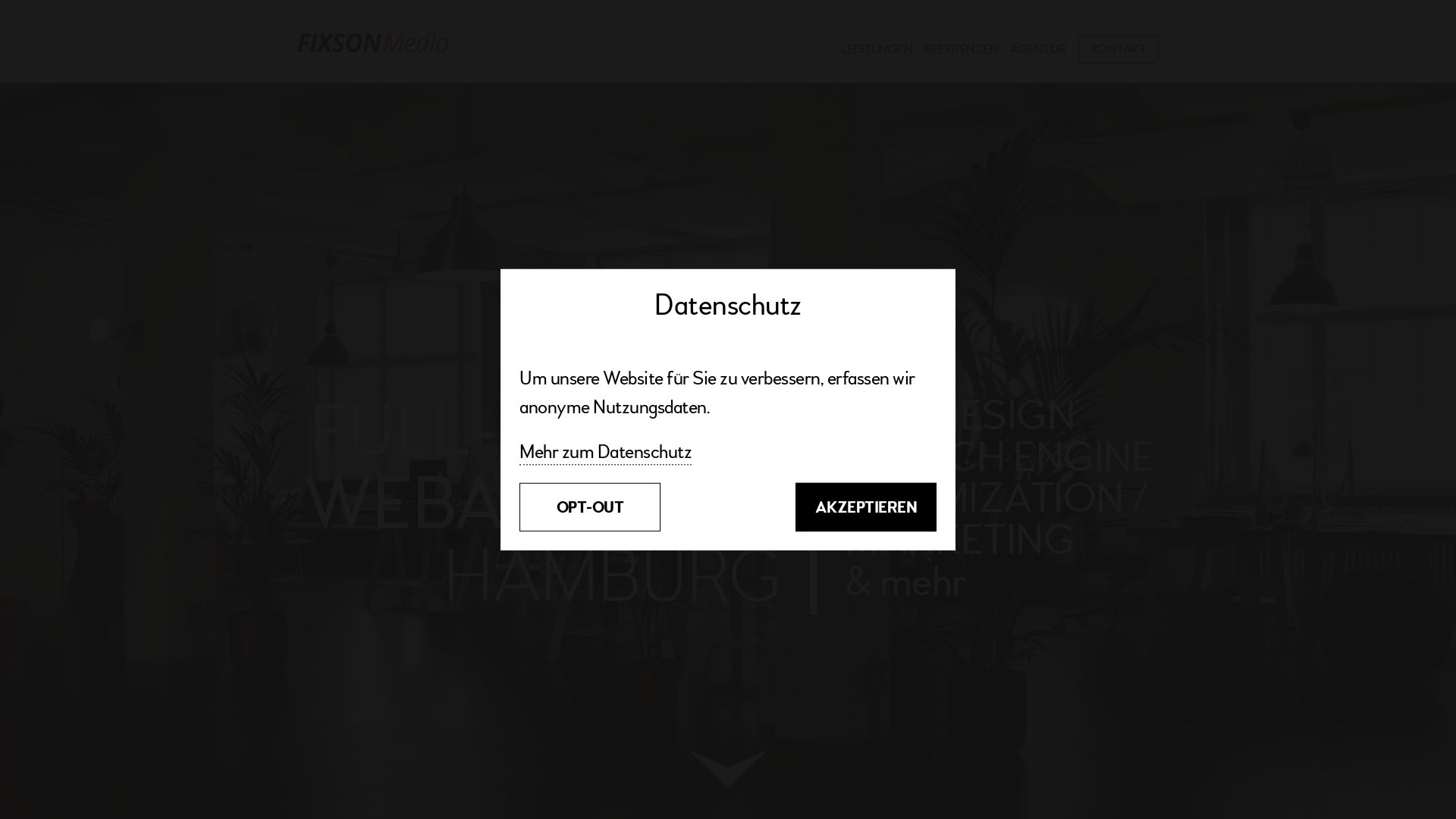 THS Systems Web-Marketing