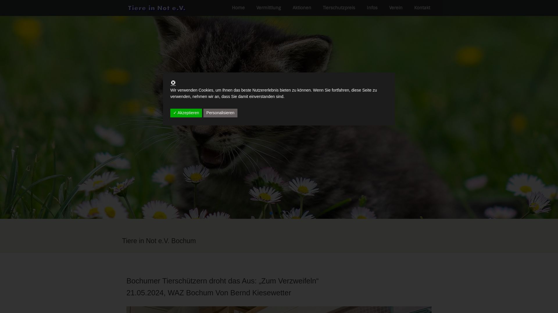 Tiere in Not e.V.