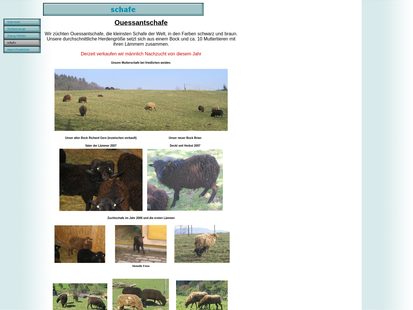 Tierparadies Schneider