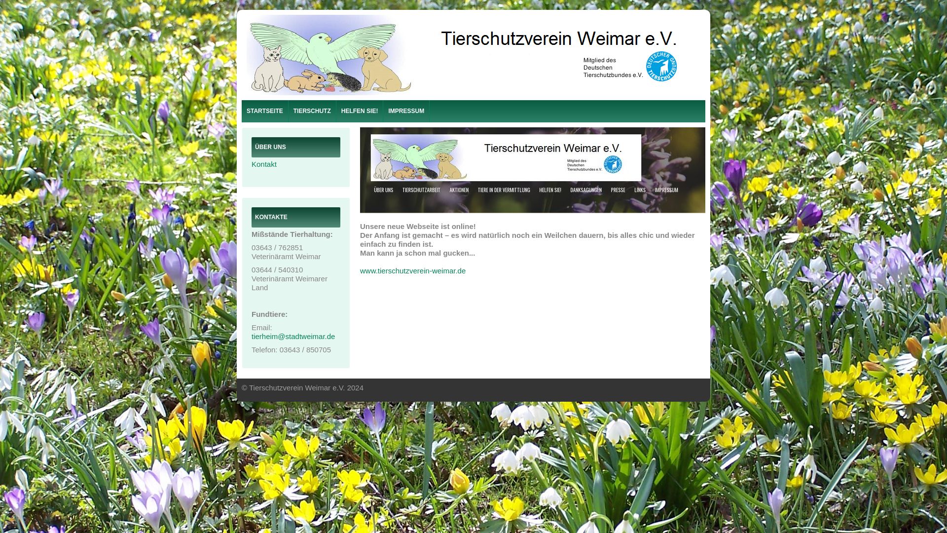 Tierschutzverein Weimar e.V.