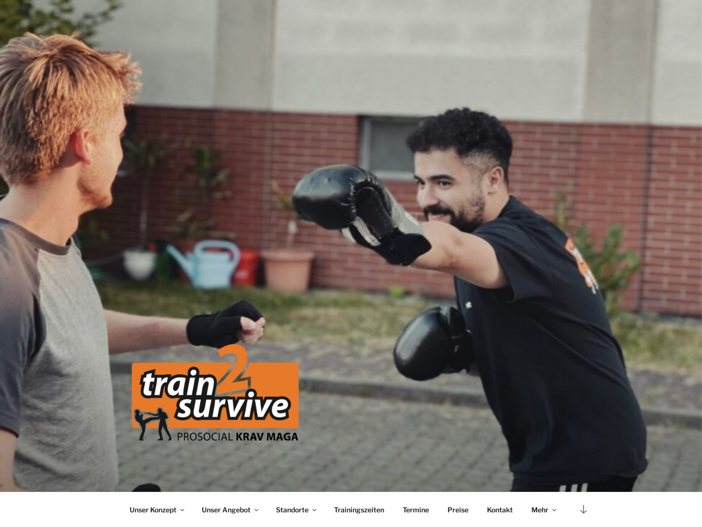 Krav Maga Wiesbaden - train2survive