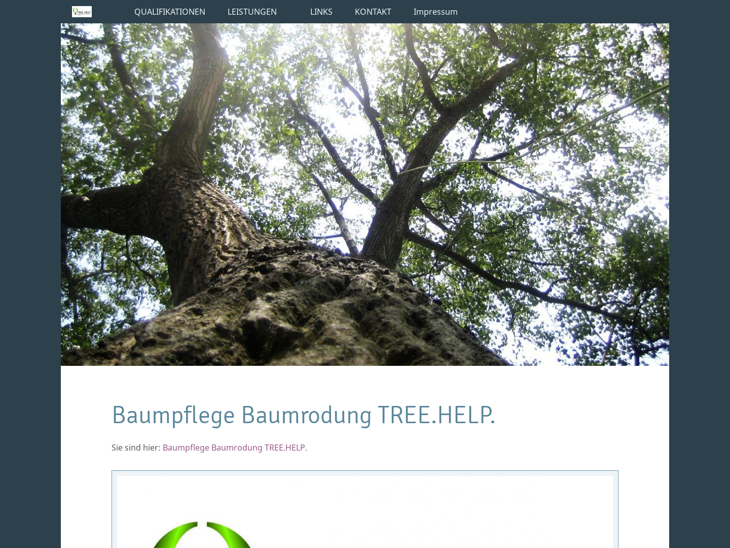 Treehelp, Maximilian Klepp