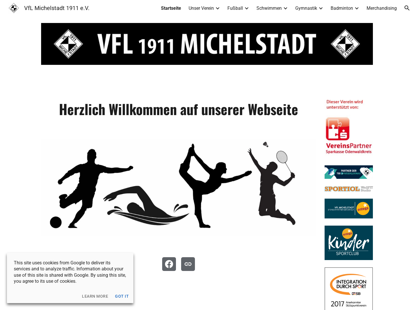 VFL Michelstadt Schwimmabteilung