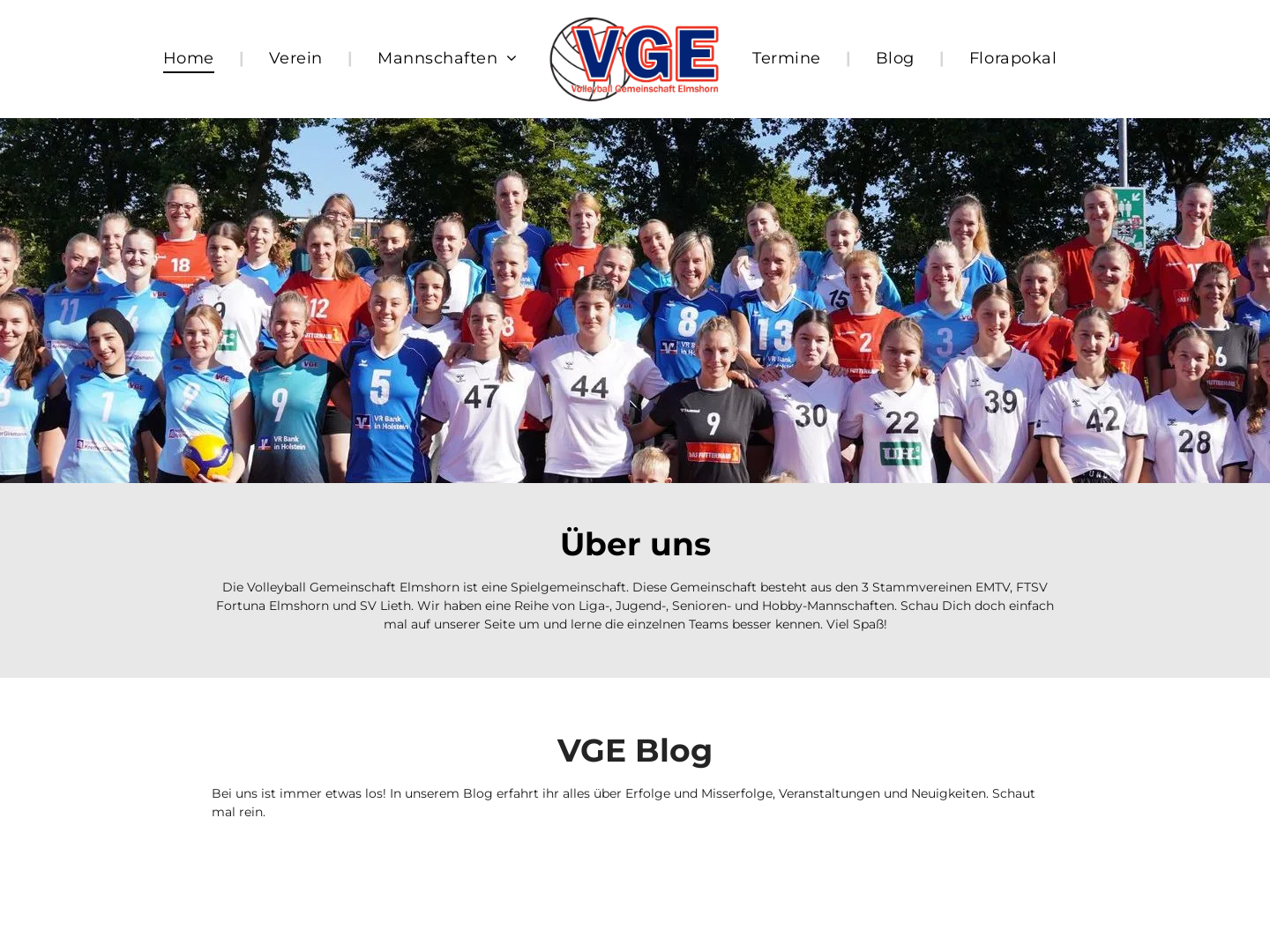 Volleyball Gemeinschaft Elmshorn